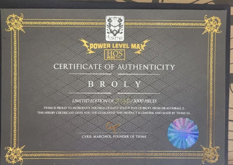Résine Tsume Broly HQS